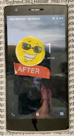 OnePlus One Phone Repair